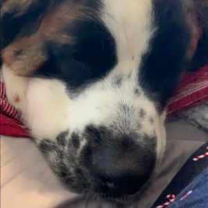 Meet your Posher, Brianne